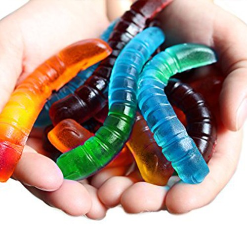 Epoksi Jelibon Kalıbı Solucan Jelibon Kalıbı Çikolata Solucan Kalıbı - Damlalık Esans Hediyeli Epoksi Jelibon Kalıbı Solucan Jelibon Kalıbı Çikolata Solucan Kalıbı - Damlalık Esans Hediyeli